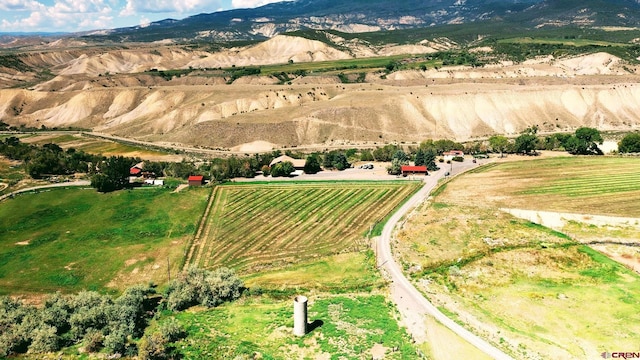 birds eye view of property with a rural view and a mountain view