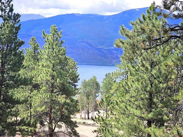 368 Parry Peak Dr, Twin Lakes CO, 81251 land for sale