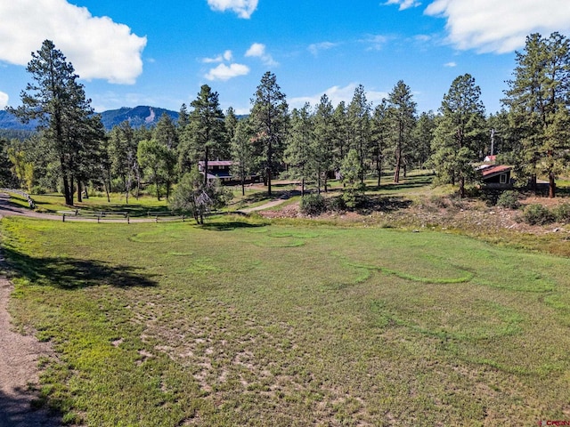 view of yard with a mountain view