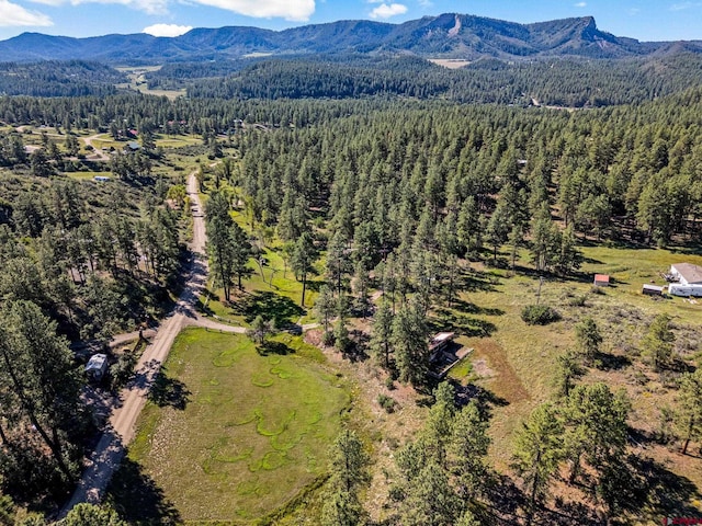 drone / aerial view with a mountain view