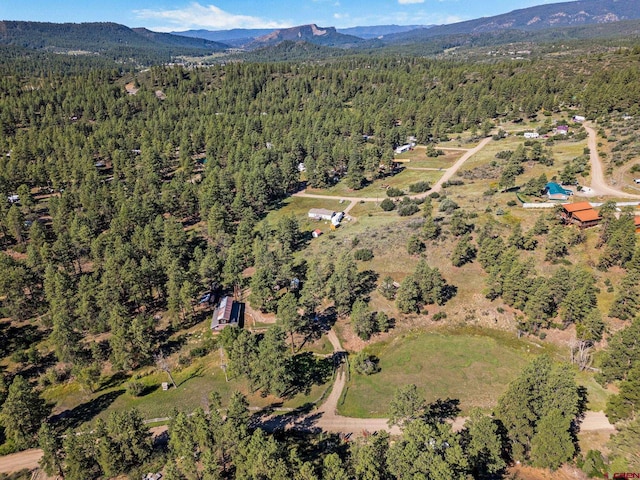 birds eye view of property featuring a mountain view