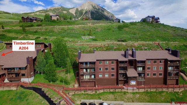 drone / aerial view featuring a mountain view