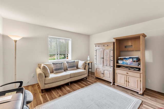 living room featuring hardwood / wood-style floors