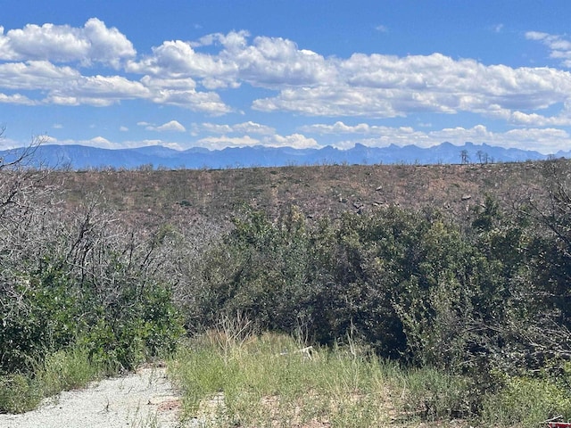 450 Barnes Point Dr, Montrose, CO 81403