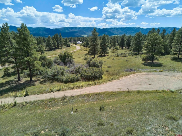 Listing photo 3 for 34 W Crescent Ct, Pagosa Springs CO 81147