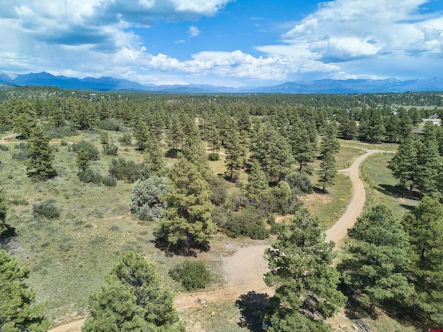 Listing photo 2 for 107 Tower Pl, Pagosa Springs CO 81147