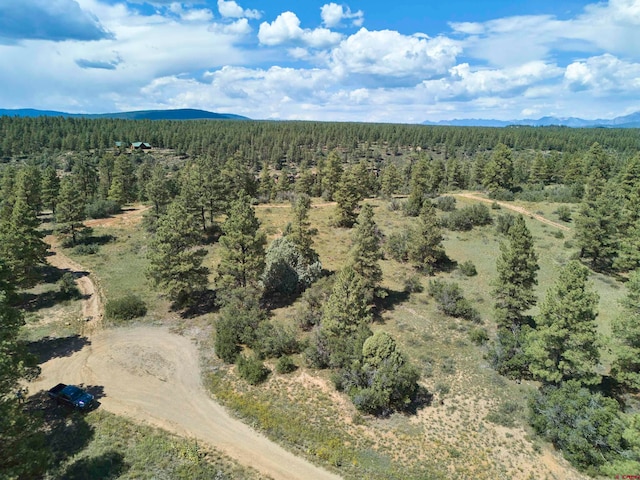 Listing photo 3 for 107 Tower Pl, Pagosa Springs CO 81147