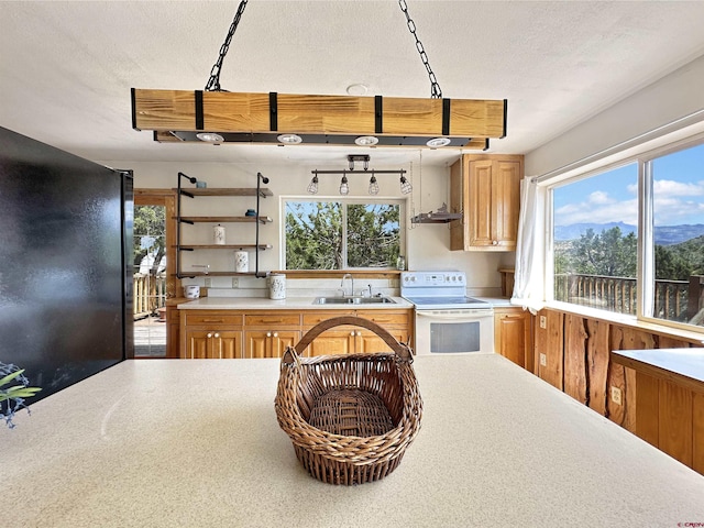 kitchen featuring white electric range, open shelves, a sink, and a healthy amount of sunlight