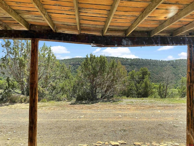 view of yard featuring a forest view