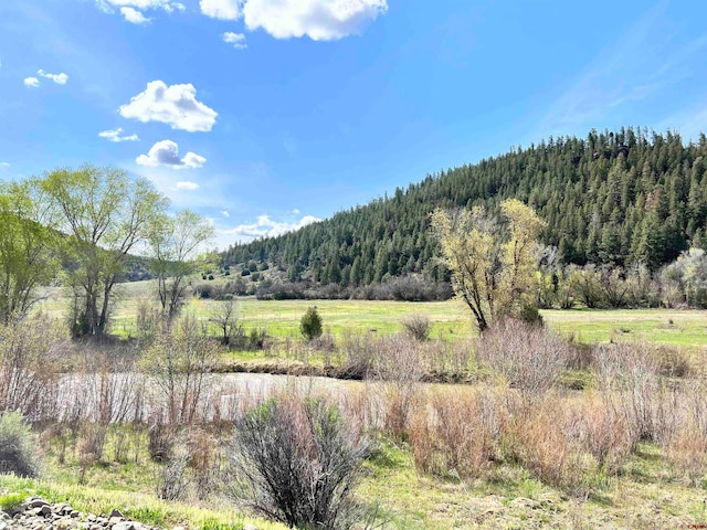 tbd County Road 551, Pagosa Springs CO, 81147 land for sale