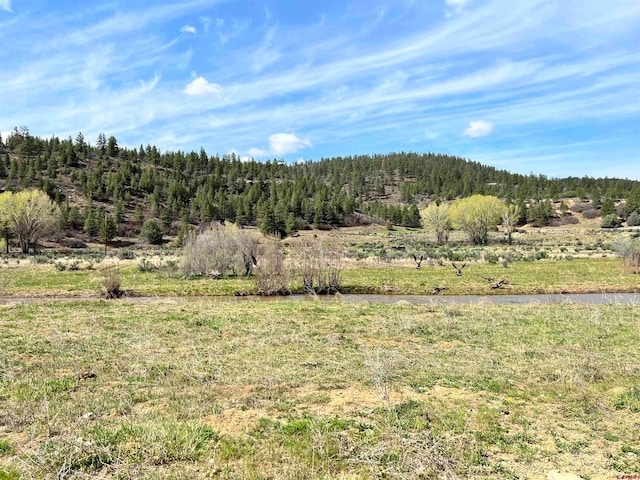 Listing photo 2 for tbd County Road 551, Pagosa Springs CO 81147