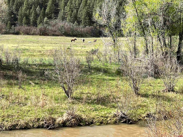 Listing photo 3 for tbd County Road 551, Pagosa Springs CO 81147