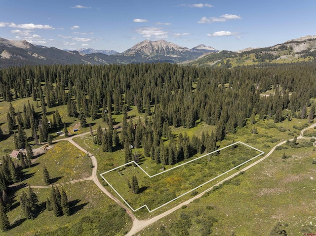 TBD 9th St, Crested Butte CO, 81224 land for sale