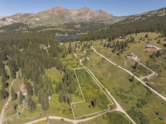 Listing photo 2 for TBD 9th St, Crested Butte CO 81224