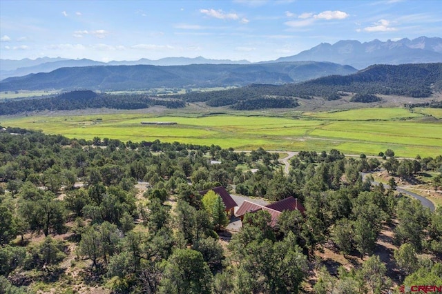 birds eye view of property with a mountain view