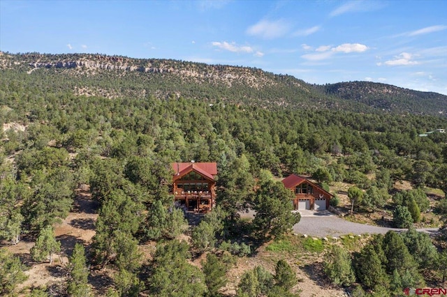 birds eye view of property featuring a mountain view