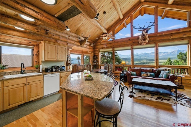 kitchen with a mountain view, a wealth of natural light, sink, and dishwasher