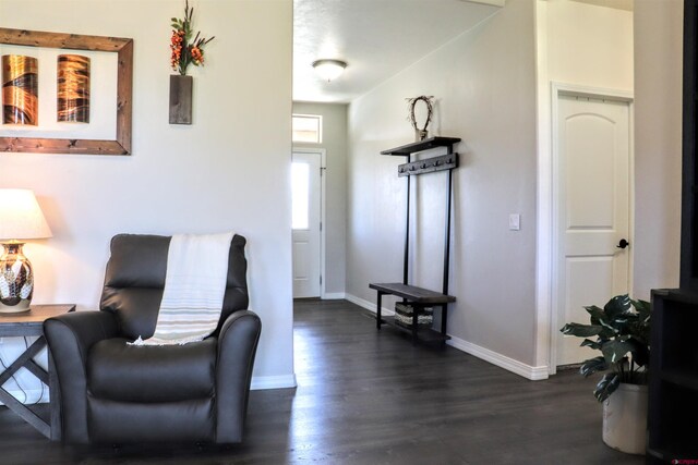 sitting room with dark hardwood / wood-style flooring