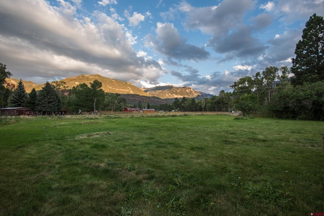 view of yard with a rural view and a mountain view