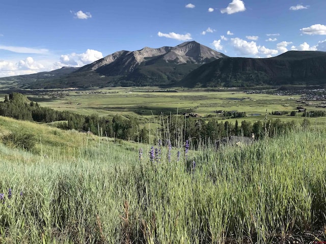 35 Overlook Dr, Mount Crested Butte CO, 81225 land for sale