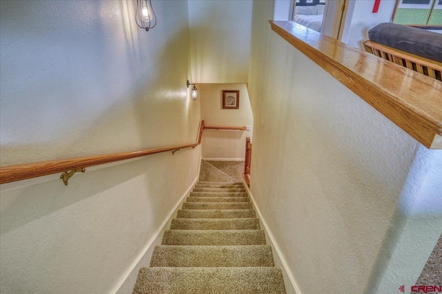 stairs with carpet floors