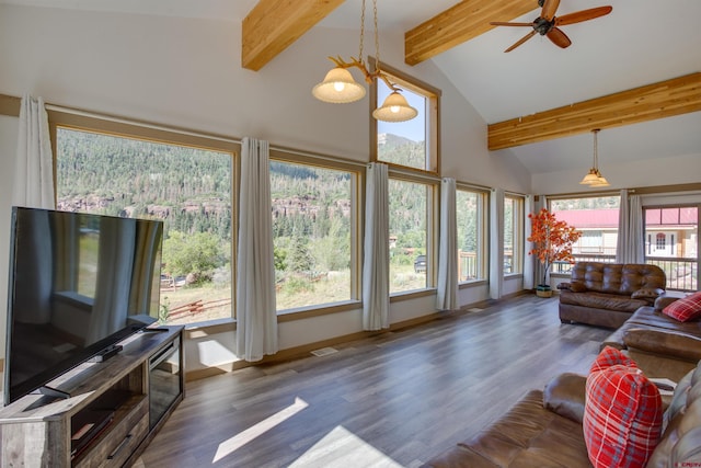 living room with plenty of natural light, dark hardwood / wood-style floors, beamed ceiling, and ceiling fan