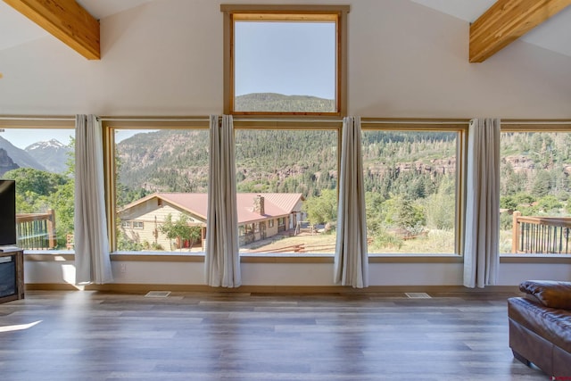 entryway featuring plenty of natural light, wood-type flooring, and vaulted ceiling with beams