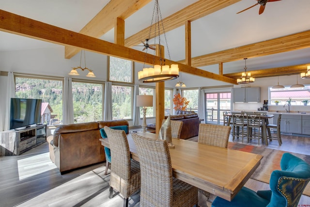 dining space featuring hardwood / wood-style flooring, ceiling fan with notable chandelier, beamed ceiling, sink, and high vaulted ceiling