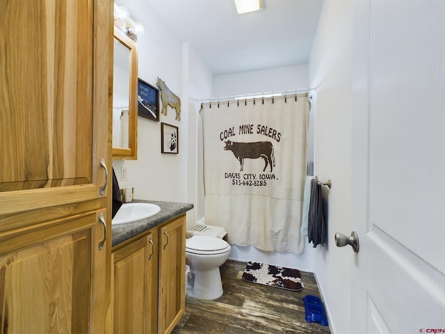 bathroom featuring vanity, toilet, and wood-type flooring