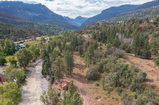 Listing photo 3 for TBD County Road 17, Ouray CO 81432