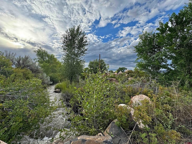 view of landscape