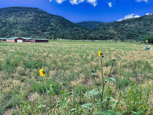 TBD Hidden View Dr, South Fork CO, 81154 land for sale