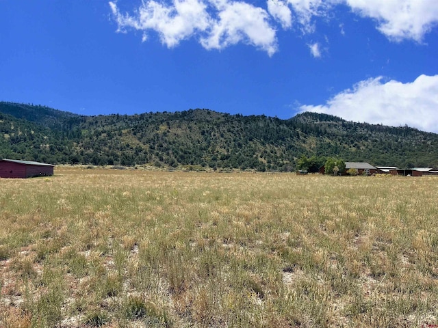 Listing photo 3 for TBD Hidden View Dr, South Fork CO 81154