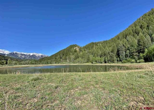 TBD County Road 12, Somerset, CO 81434