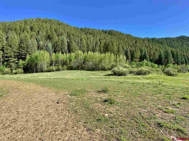 TBD County Road 12, Somerset, CO 81434