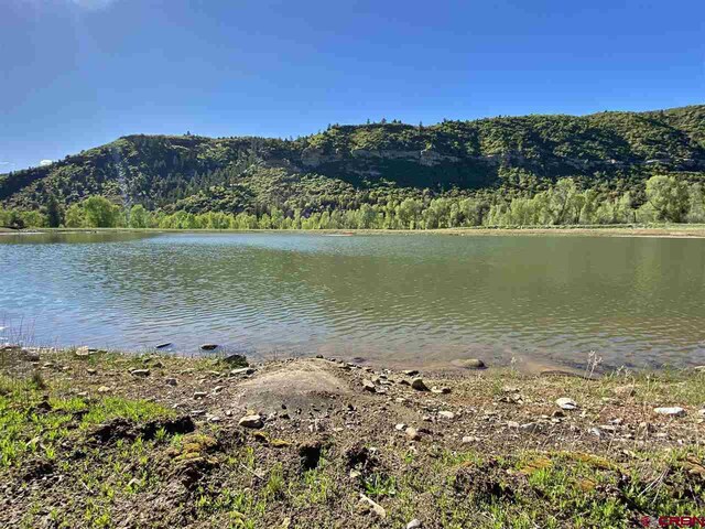 TBD County Road 12, Somerset, CO 81434