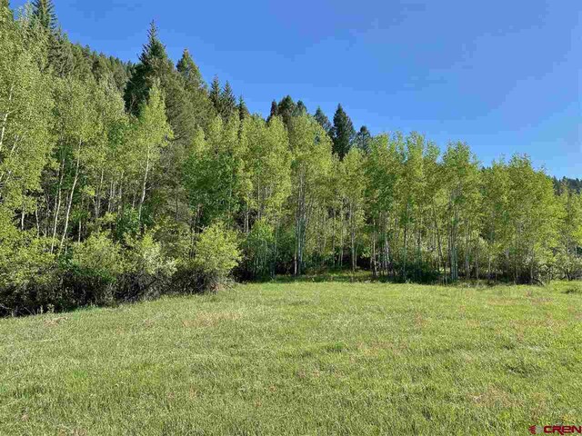 TBD County Road 12, Somerset, CO 81434