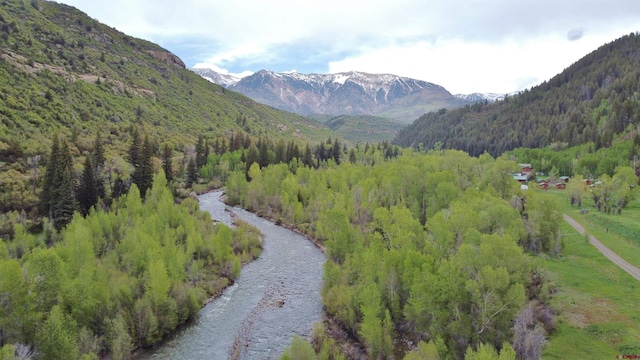 TBD County Road 12, Somerset, CO 81434