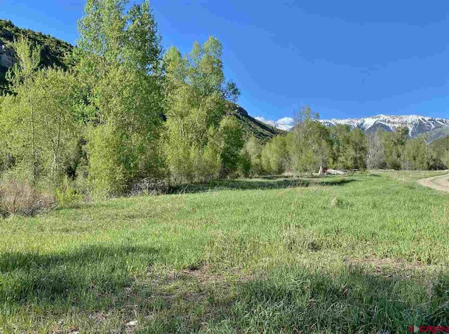 TBD County Road 12, Somerset, CO 81434