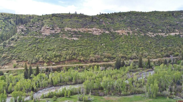 TBD County Road 12, Somerset, CO 81434