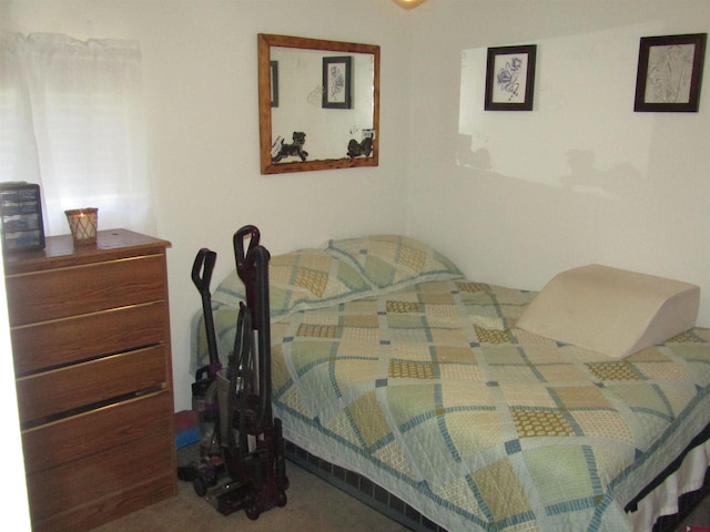 730 Washington St, Monte Vista, CO 81144 - bedroom featuring carpet flooring