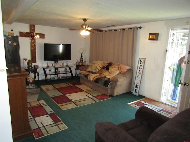 730 Washington St, Monte Vista, CO 81144 - living room with ceiling fan and carpet
