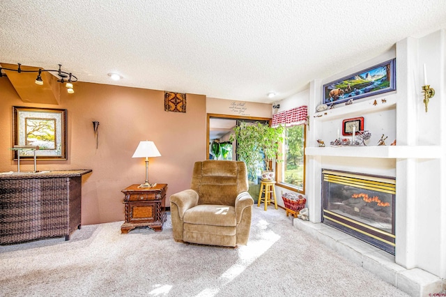 carpeted living room featuring a textured ceiling