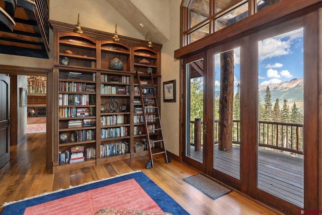 entryway with wood-type flooring, a mountain view, french doors, and a healthy amount of sunlight