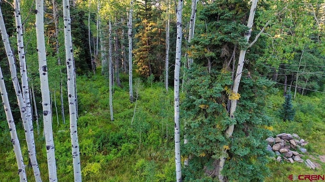 2278 Sierra Verde Dr, Durango, CO 81301