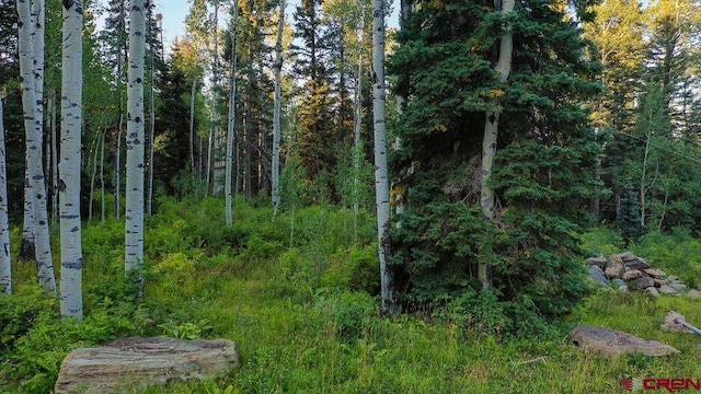 2278 Sierra Verde Dr, Durango, CO 81301