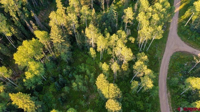 2278 Sierra Verde Dr, Durango, CO 81301