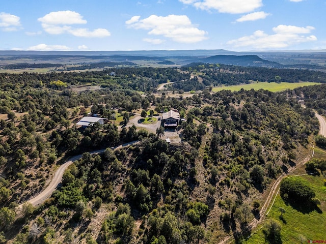 bird's eye view featuring a mountain view