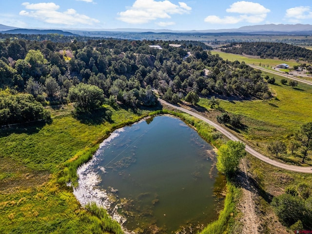 bird's eye view with a water and mountain view