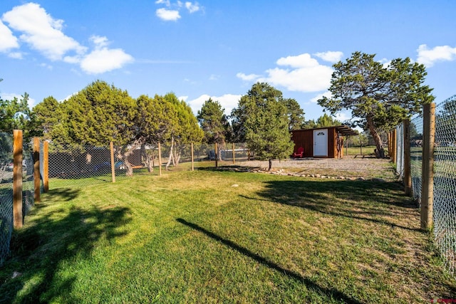 view of yard with a storage shed